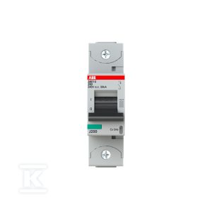 Wyłącznik nadmiarowo-prądowy, 1P, charakterystyka Z, 80A, 25kA, AC | S801U-Z80 2CCS881017R0805 Wyłącznik nadmiarowo-prądowy, 1P, charakterystyka Z, 80A, 25kA, AC | S801U-Z80 2CCS881017R0805