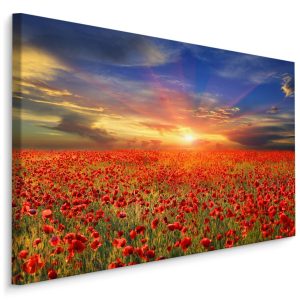 Obraz Ścienny MAKI Zachód Słońca Pejzaż 3D 100x70cm 787301