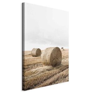 Obraz Siano 40 x 60 cm 601301 Obraz Siano 40 x 60 cm 601301