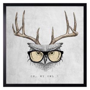 Obraz Sowa 50×50 cm 38062 Obraz Sowa 50×50 cm 38062