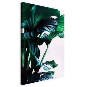 Obraz Sprężyste liście 40 x 60 cm 603818 Obraz Sprężyste liście 40 x 60 cm 603818
