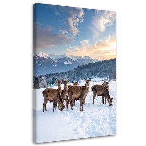 Obraz Stado jeleni w zimie do salonu sypialni kuchni biura 20×30 996082 Obraz Stado jeleni w zimie do salonu sypialni kuchni biura 20×30 996082
