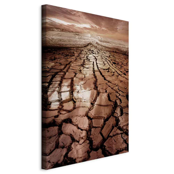 Obraz Susza 40 x 60 cm 606130