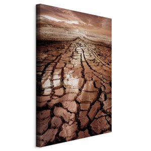 Obraz Susza 60 x 90 cm 597591
