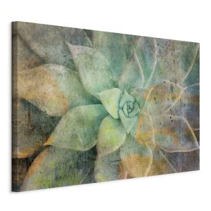 Obraz Tonacje rozkwitania 90 x 60 cm 593215 Obraz Tonacje rozkwitania 90 x 60 cm 593215