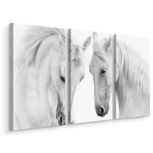 Obraz Tryptyk Białe KONIE Zwierzęta Natura 60x40cm 137835 Obraz Tryptyk Białe KONIE Zwierzęta Natura 60x40cm 137835