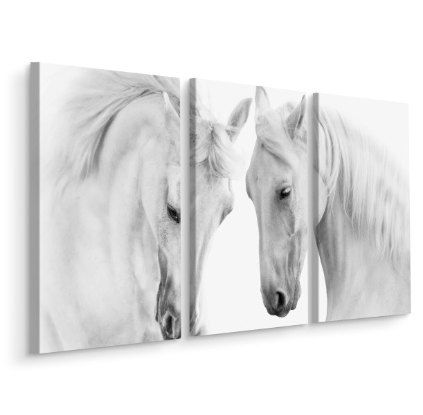 Obraz Tryptyk Białe KONIE Zwierzęta Natura 60x40cm 137835