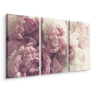 Obraz Tryptyk Do Salonu Kwitnące Piwonie 120x80cm 138659 Obraz Tryptyk Do Salonu Kwitnące Piwonie 120x80cm 138659