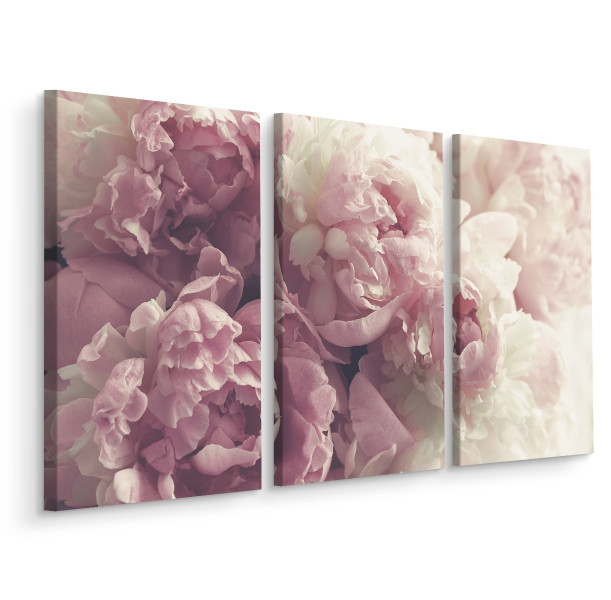 Obraz Tryptyk Do Salonu Kwitnące Piwonie 60x40m 138669