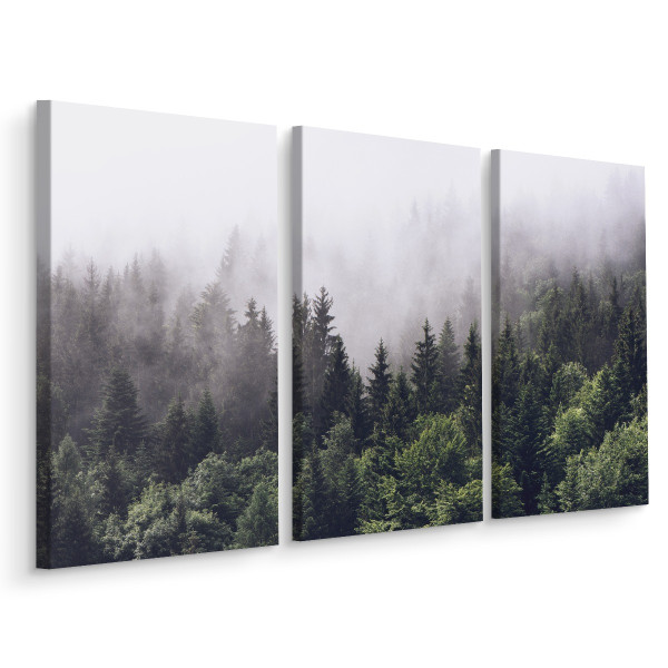 Obraz Tryptyk Krajobraz Leśny We Mgle 180x120cm 135891