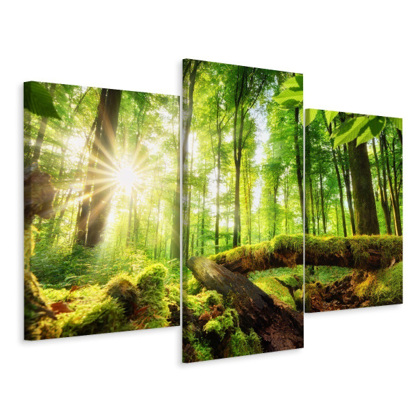 Obraz Tryptyk LAS Drzewa Liście Pejzaż 3D 60x40cm 136910