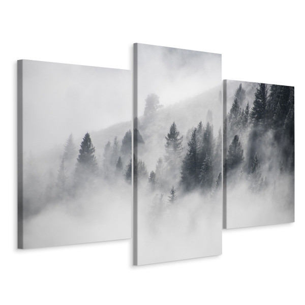 Obraz Tryptyk LAS Drzewa Mgła Krajobraz 3D 180x120cm 137044