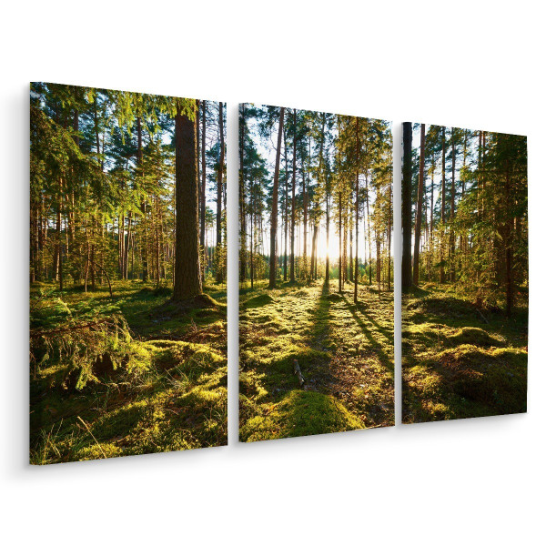 Obraz TRYPTYK Las Drzewa Słońce Natura 3D 120x80cm 135944