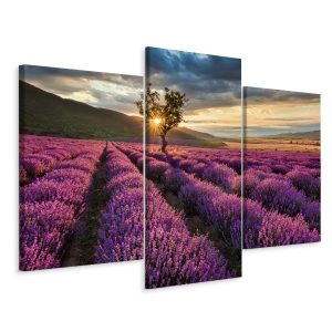 Obraz Tryptyk LAWENDA Kwiaty Krajobraz 3D 150x100cm 136816