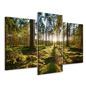 Obraz Tryptyk LEŚNY PEJZAŻ Słońce Efekt 3D 120x80cm 139082