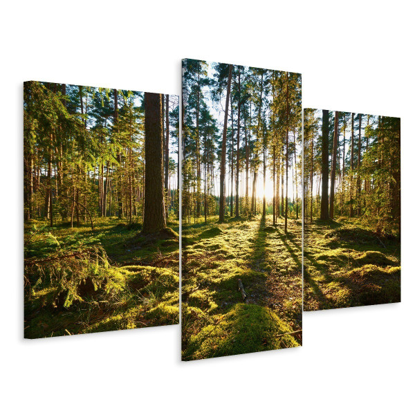 Obraz Tryptyk LEŚNY PEJZAŻ Słońce Efekt 3D 120x80cm 139082