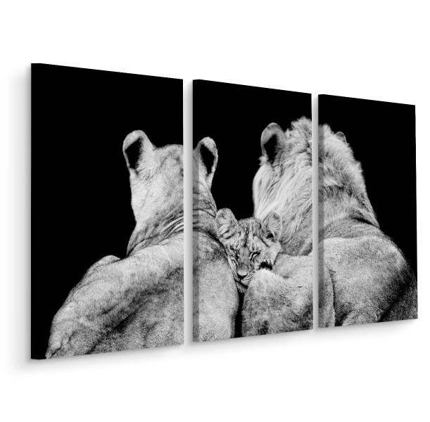 Obraz Tryptyk LEW Lwica Lwiątko Natura 3D 120x80cm 139063