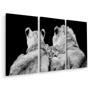 Obraz Tryptyk LEW Lwica Lwiątko Natura 3D 150x100cm 139028
