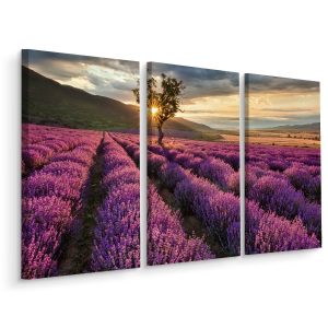 Obraz Tryptyk Pole LAWENDY Słońce Pejzaż 3D 60x40cm 138887 Obraz Tryptyk Pole LAWENDY Słońce Pejzaż 3D 60x40cm 138887