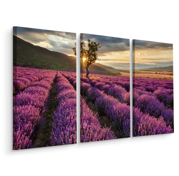 Obraz Tryptyk Pole LAWENDY Słońce Pejzaż 3D 60x40cm 138887