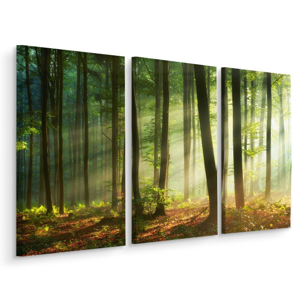 Obraz Tryptyk PROMIENIE SŁOŃCA w Lesie 3D 120x80cm 138675