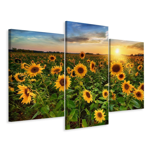 Obraz Tryptyk SŁONECZNIKOWE Pole Pejzaż 3D 150x100cm 139013
