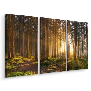 Obraz Tryptyk ZACHÓD SŁOŃCA W LESIE 3D 180x120cm 139048 Obraz Tryptyk ZACHÓD SŁOŃCA W LESIE 3D 180x120cm 139048