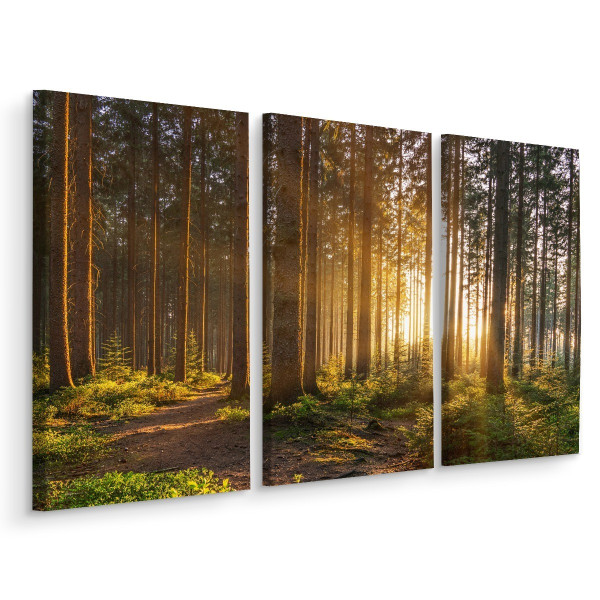 Obraz Tryptyk ZACHÓD SŁOŃCA W LESIE 3D 180x120cm 139048