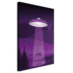 Obraz Ufo 40 x 60 cm 595542 Obraz Ufo 40 x 60 cm 595542