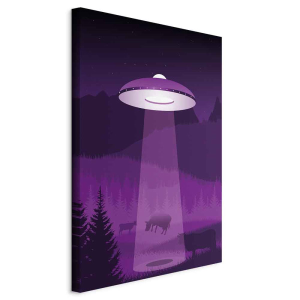 Obraz Ufo 80 x 120 cm 597506