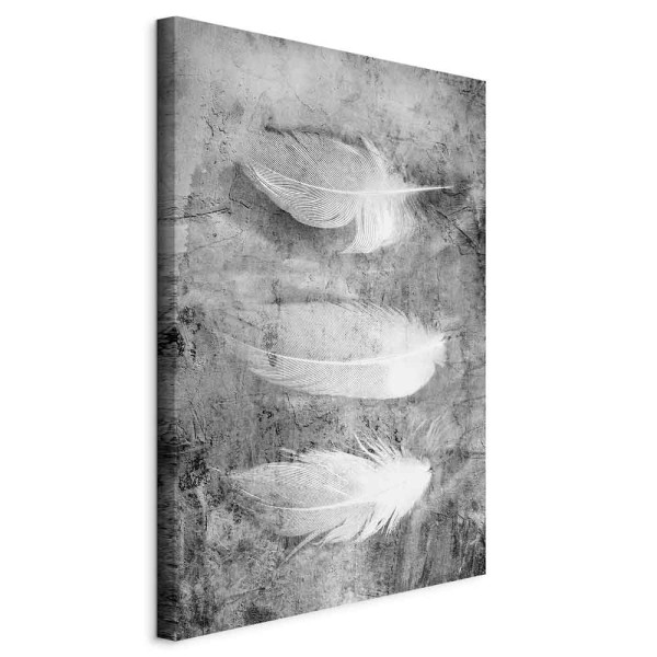Obraz Ulotna tajemnica 80 x 120 cm 600463