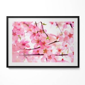Obraz w czarnej ramie, Różowe kwiaty na gałęziach 100x70cm 414134 Obraz w czarnej ramie, Różowe kwiaty na gałęziach 100x70cm 414134