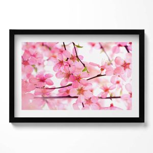 Obraz w czarnej ramie, Różowe kwiaty na gałęziach 60×40 cm 414380 Obraz w czarnej ramie, Różowe kwiaty na gałęziach 60×40 cm 414380