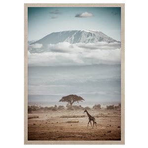 Obraz w ramie African View 53×73 cm 230571