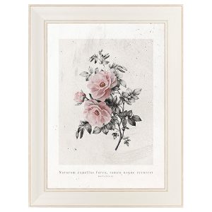 Obraz w ramie Aged Roses Art. No.1 63×83 cm 230465