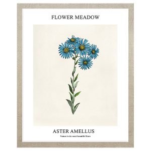Obraz w ramie Aster Amellus 43×53 cm 230385