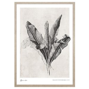 Obraz w ramie Banana Leaves 53×73 cm 230400