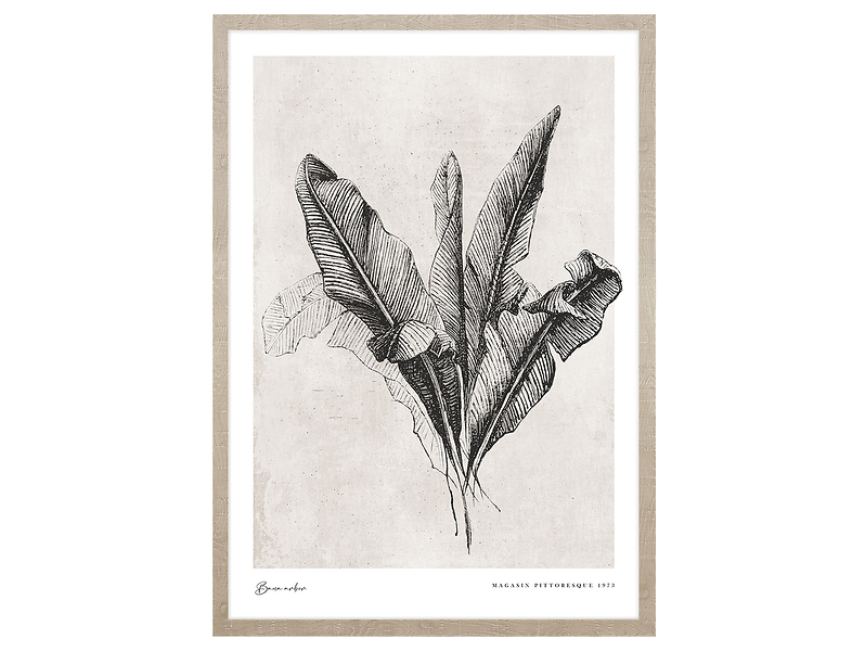 Obraz w ramie Banana Leaves 53x73 cm 230400