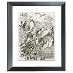 Obraz w ramie Birds Gathering 46×56 cm 230394
