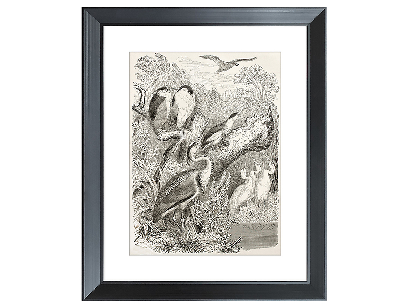 Obraz w ramie Birds Gathering 46x56 cm 230394
