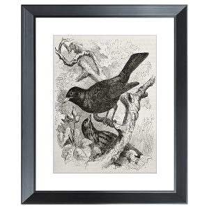 Obraz w ramie Birds On Branches 46×56 cm 230393