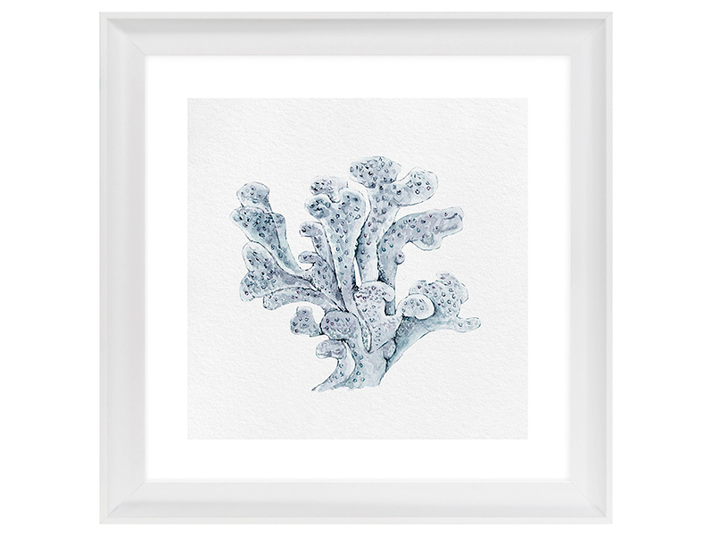 Obraz w ramie Blue Watercolor Coral No. 1 56x56 cm 230421