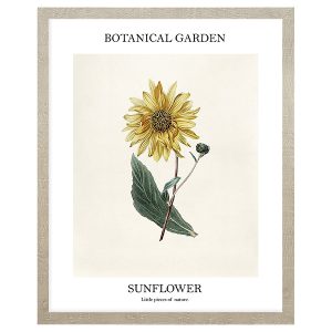 Obraz w ramie Botanical Garden Of Sunflower 43×53 cm 230383 Obraz w ramie Botanical Garden Of Sunflower 43×53 cm 230383