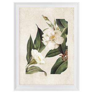 Obraz w ramie Botanical White Flower No. 2 58×68 cm 230408 Obraz w ramie Botanical White Flower No. 2 58×68 cm 230408