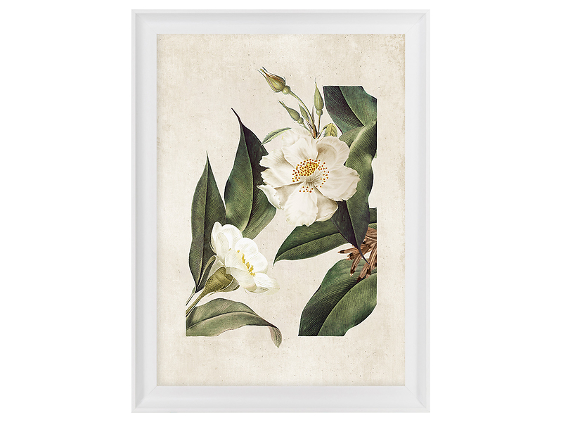 Obraz w ramie Botanical White Flower No. 2 58x68 cm 230408