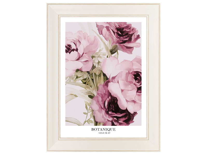 Obraz w ramie Botanique Nature 63x83 cm 230463