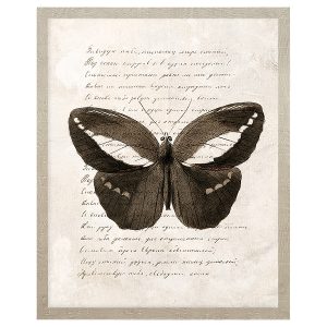 Obraz w ramie Butterfly Thoughts No. 1 43×53 cm 230386 Obraz w ramie Butterfly Thoughts No. 1 43×53 cm 230386