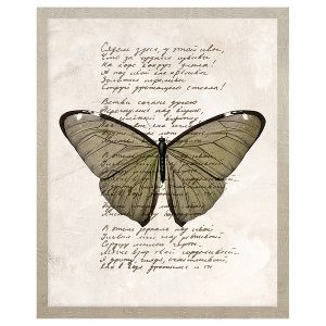 Obraz w ramie Butterfly Thoughts No. 2 43×53 cm 230387 Obraz w ramie Butterfly Thoughts No. 2 43×53 cm 230387