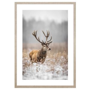 Obraz w ramie Deer In Winter Scenery 53×73 cm 230563