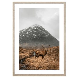 Obraz w ramie Deer Under The Mountains 53×73 cm 230568